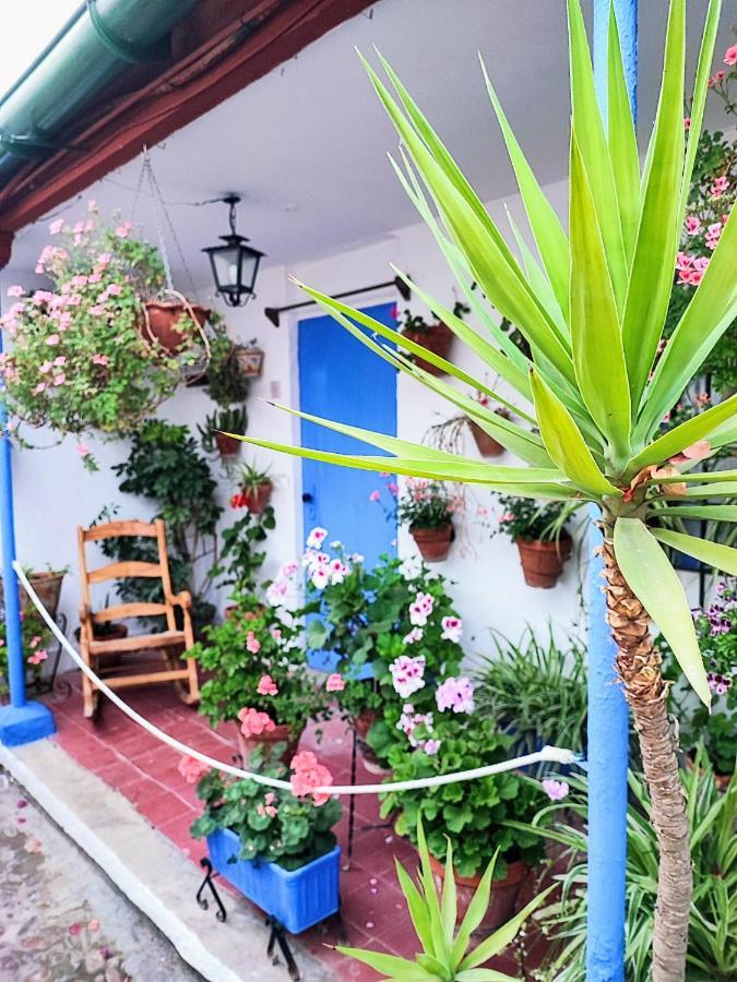 Apartamento Alcazar San Basilio Кордова Екстер'єр фото