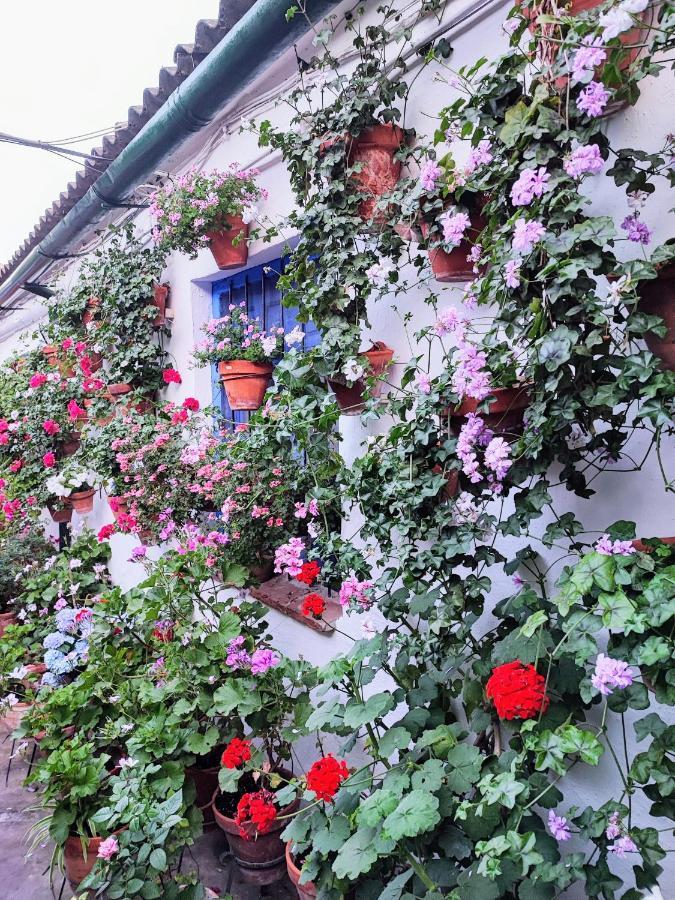 Apartamento Alcazar San Basilio Кордова Екстер'єр фото