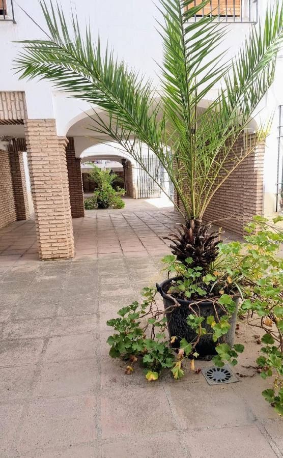 Apartamento Alcazar San Basilio Кордова Екстер'єр фото